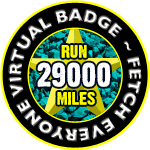 Run 29000 Miles